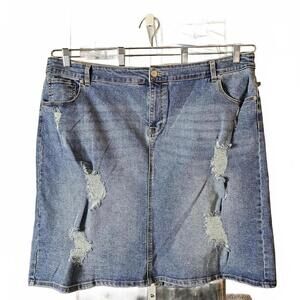 Alivia Ford Women's Denim Skirt with Distressed Details 22